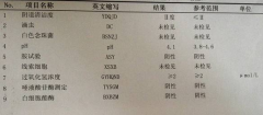 国康GK-Y全自动阴道分泌物检测仪厂家科普“白带常规”查看报告！